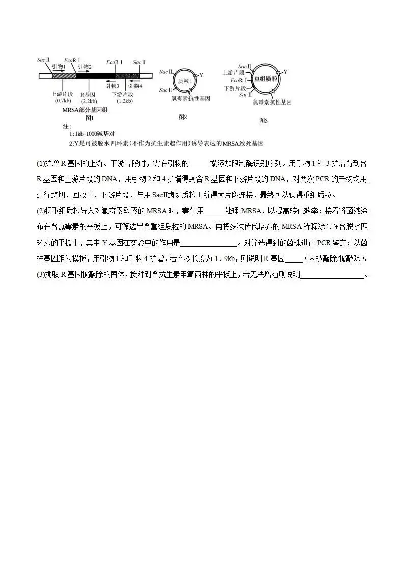 《高中试卷》安徽省蚌埠市2026届高三上学期第一次教学质量检查考试生物(含答案) 第12张