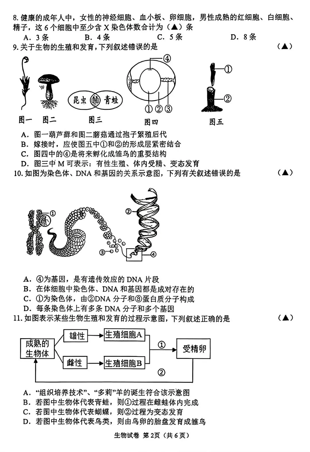 【试卷/初二下】2025-2026辽宁锦州8中八下3月生物(含答案)可下载 第2张 【试卷/初二下】2025-2026辽宁锦州8中八下3月生物(含答案)可下载 第2张