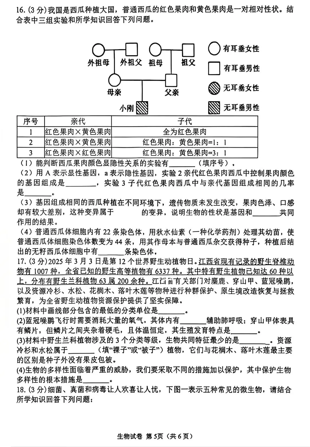【试卷/初二下】2025-2026辽宁锦州8中八下3月生物(含答案)可下载 第5张 【试卷/初二下】2025-2026辽宁锦州8中八下3月生物(含答案)可下载 第5张
