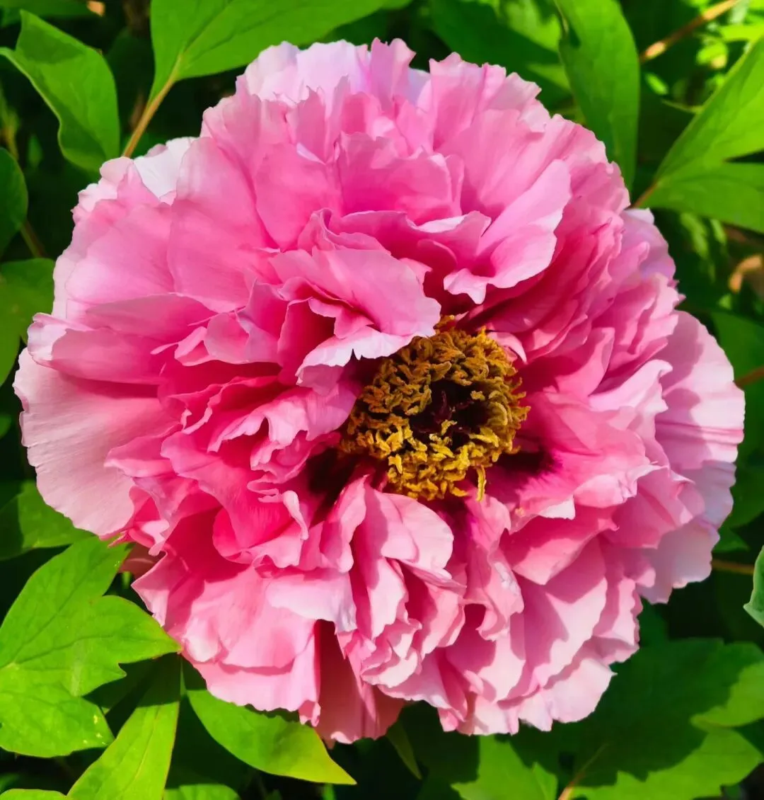 考研复试真题?不可说? 第1张