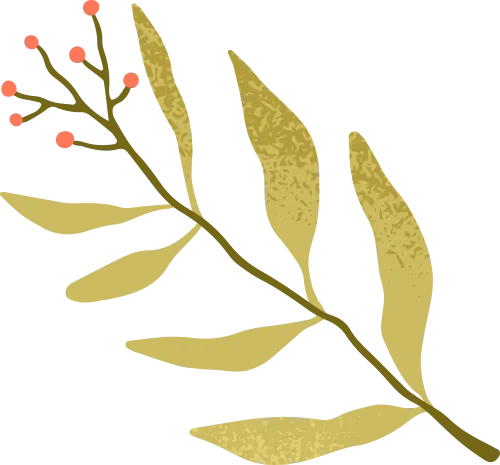 信息素养微科普 | 考证党福音:海量真题模拟题,一键免费刷 第3张