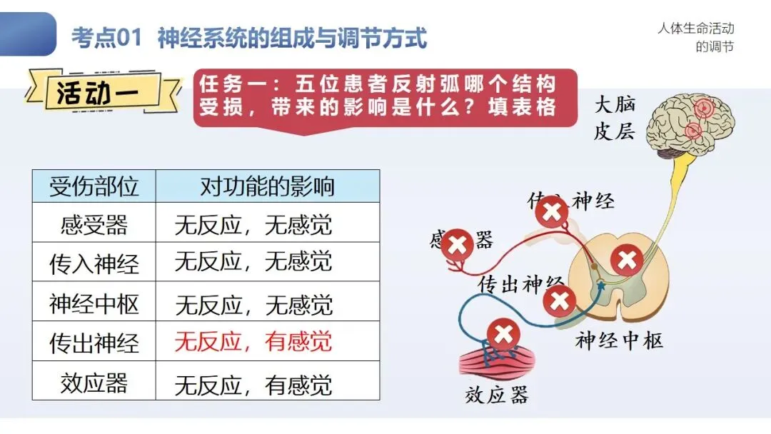 研课标析真题 明方向促备考——雁塔区生物中考研讨会培训心得 第7张