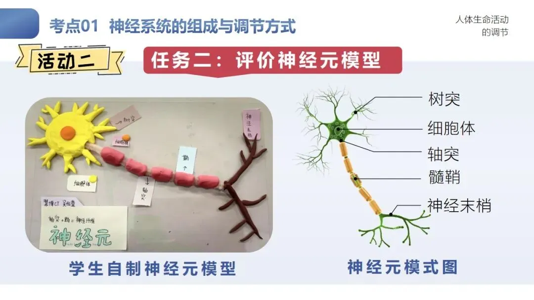研课标析真题 明方向促备考——雁塔区生物中考研讨会培训心得 第11张