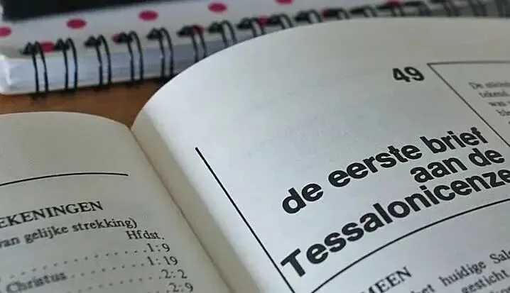 中考分流、高考内卷?4月18日,新东方国际教育展石家庄站祝你破局!/雅思听力提分没你想得那么难/普林斯顿大变革!无监考时代正式落幕 第13张