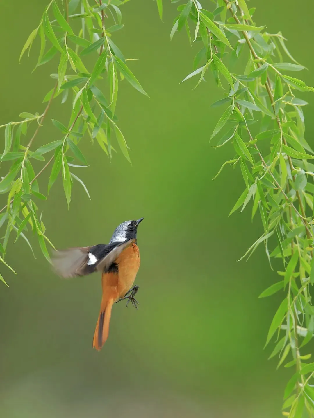 中考完型填空命题的底层逻辑–––考试的隐形答题线索 第1张 中考完型填空命题的底层逻辑–––考试的隐形答题线索 第1张