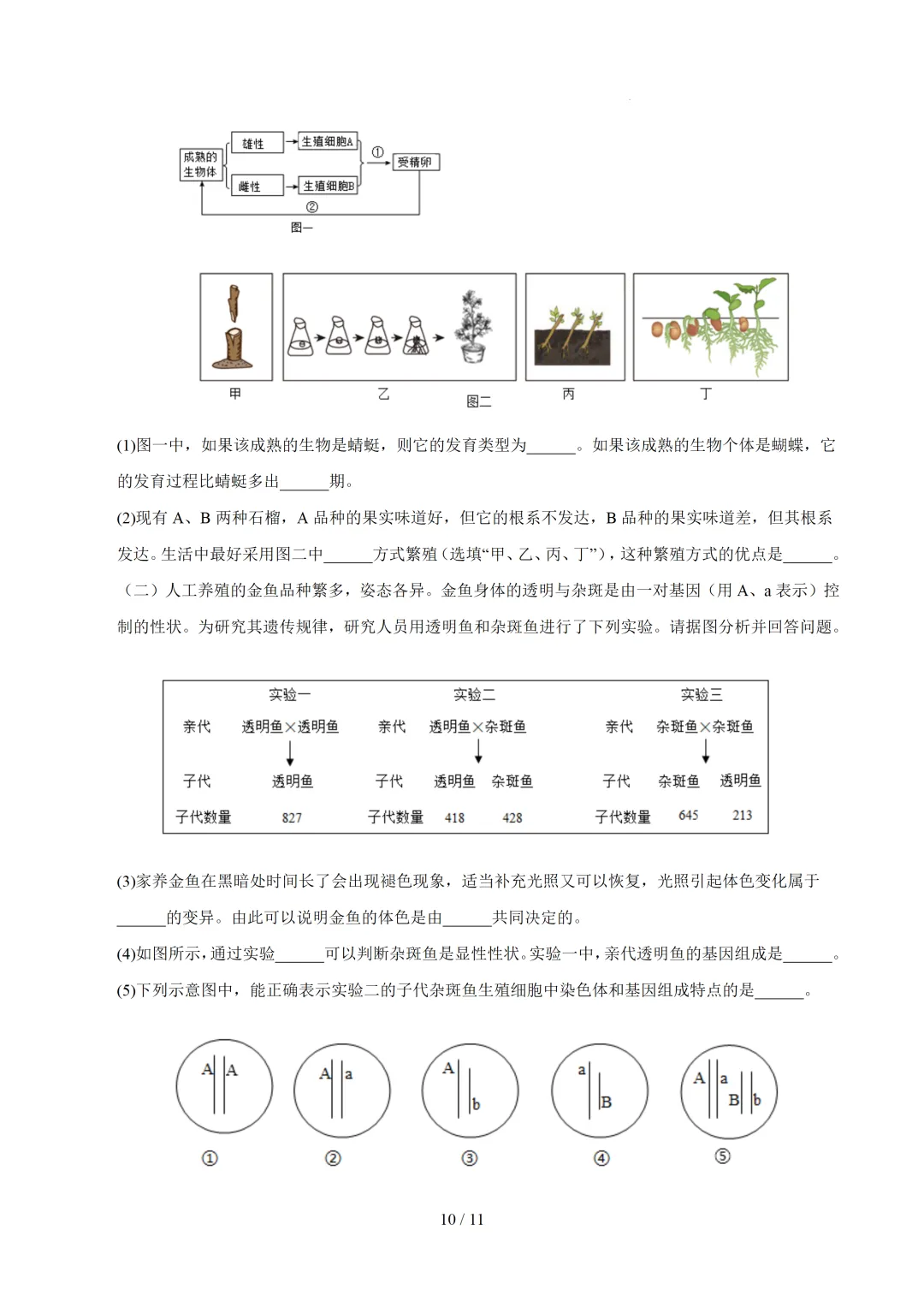 2026广东中考生物三模模拟卷 第10张