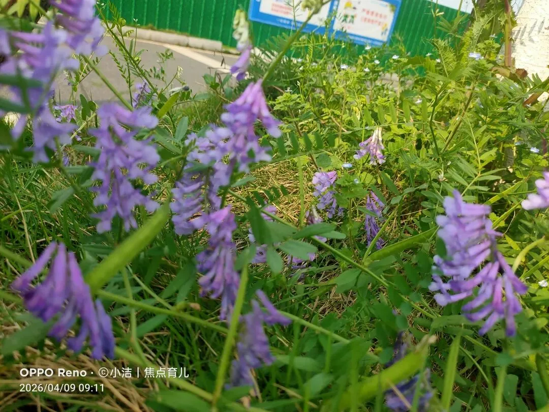 中考在即:放下焦虑,相信孩子,就是最高级的托举 第2张