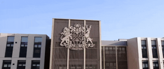 Iris:从中考失利到英国G5名校,弯道超车的她做了什么? 第1张