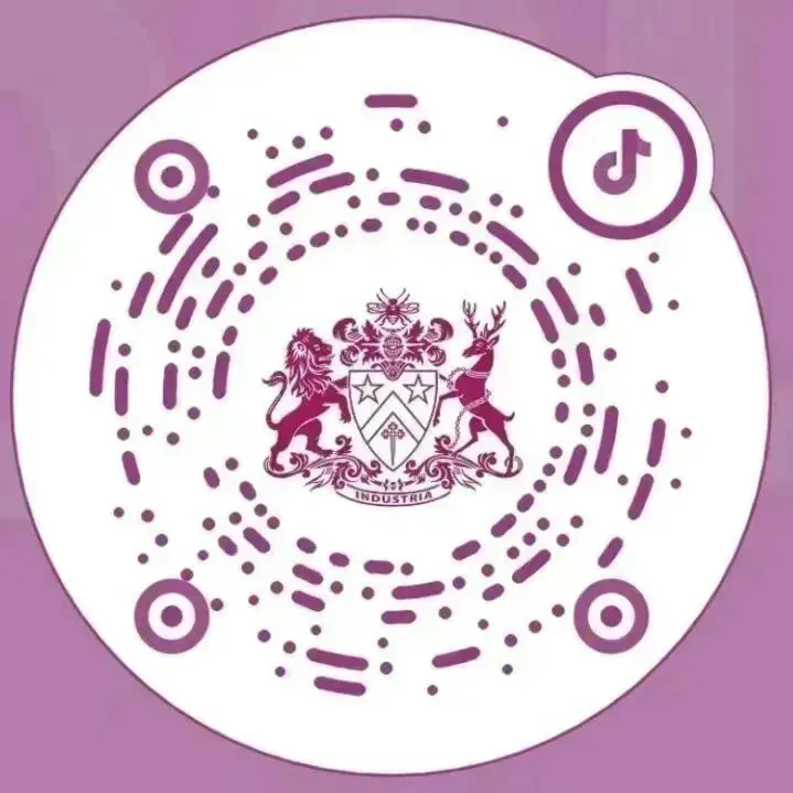 Iris:从中考失利到英国G5名校,弯道超车的她做了什么? 第19张