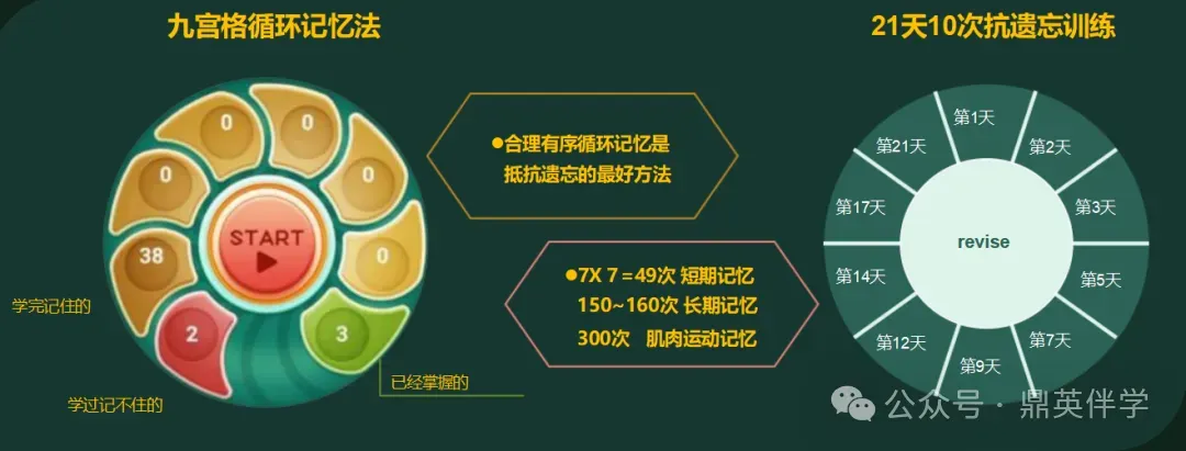 中考高考英语快速提20-60分,扭转乾坤的鼎校神器,奥妙在于人工智能,赏识教育提高兴趣,让孩子认识到自己潜在的天赋,主动自发愿意学习 第10张