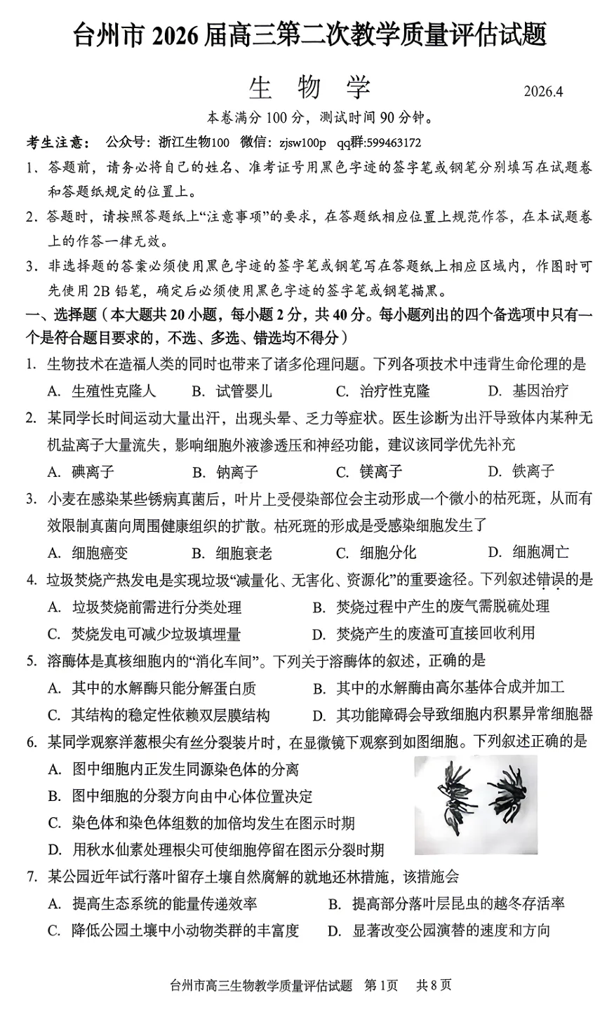 2026年4月浙江台州二模高三生物试卷、答案和解析(基础分多) 第4张