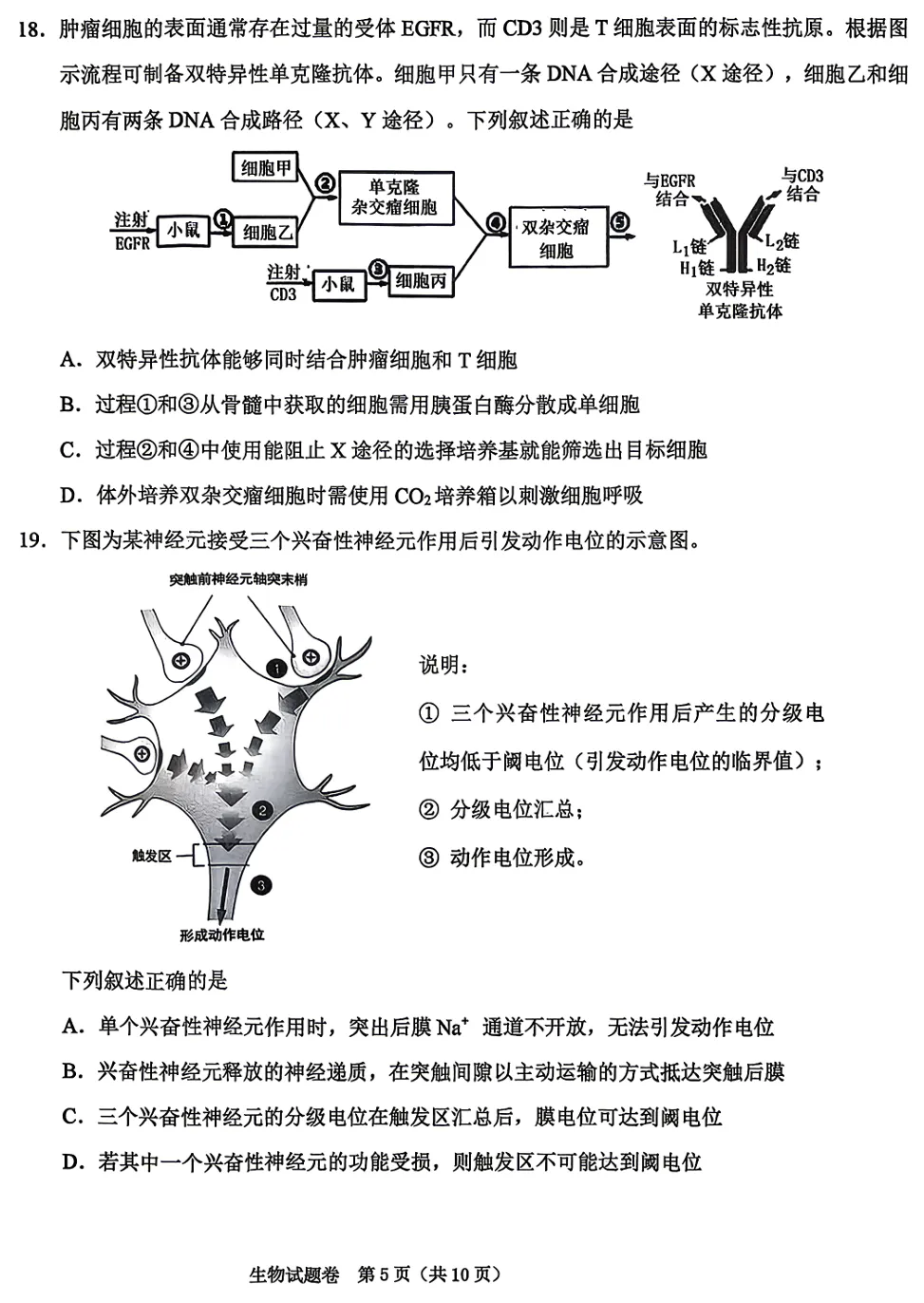 2026年4月浙江绍兴二模高三生物试卷、答案和解析 第5张