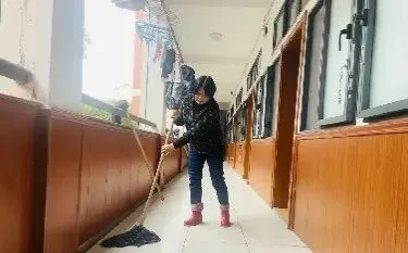 昆山中考＂黑马＂鹿峰中学如何填报?一文搞懂小升初填报流程! 第15张