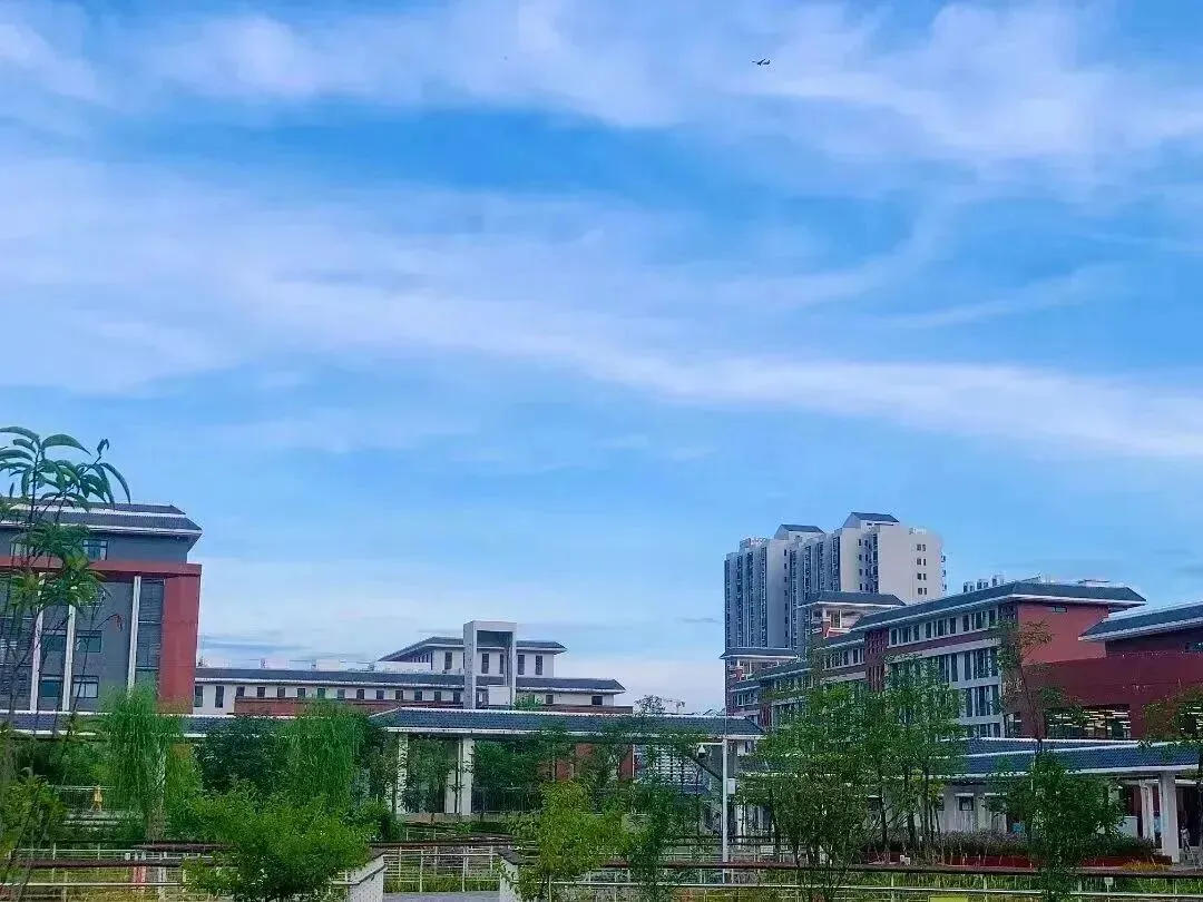 奔跑吧,青春!2026年南沙区体育中考4月11日-17日在【广附南实】举行 第8张