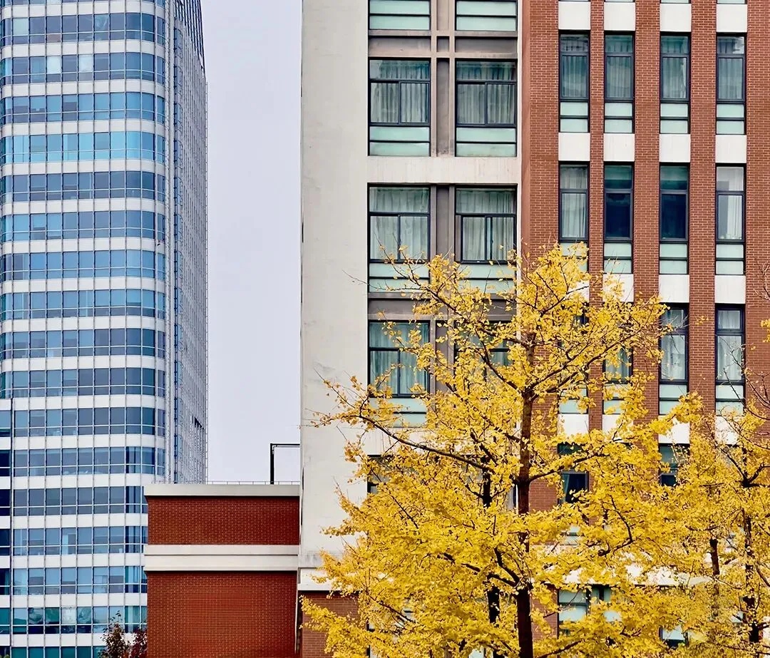 体育中考倒计时!2026上海中考体育新增项目全解析:这2项拿分最容易,千万别选错 第2张