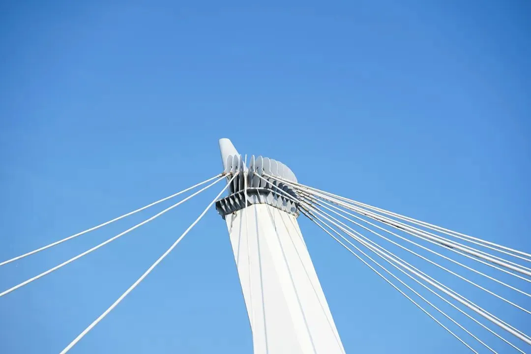 体育中考倒计时!2026上海中考体育新增项目全解析:这2项拿分最容易,千万别选错 第3张