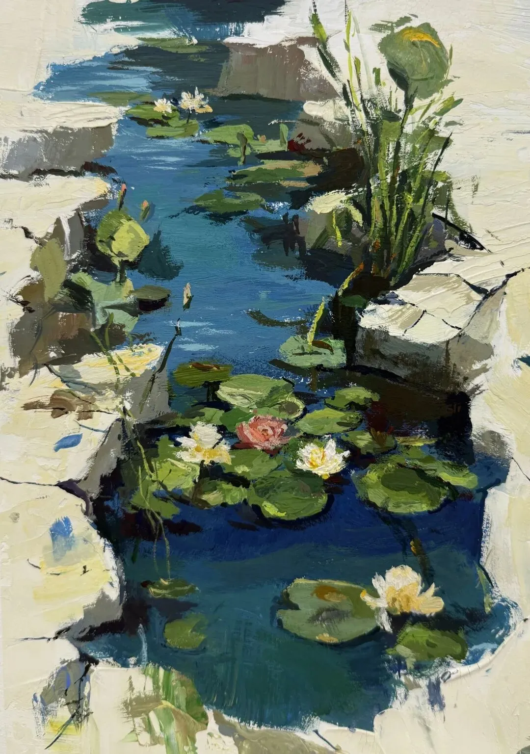 【美术中考首选】中考逆袭重点高中捷径,纵横美术100%过线,福州家长首选! 第48张