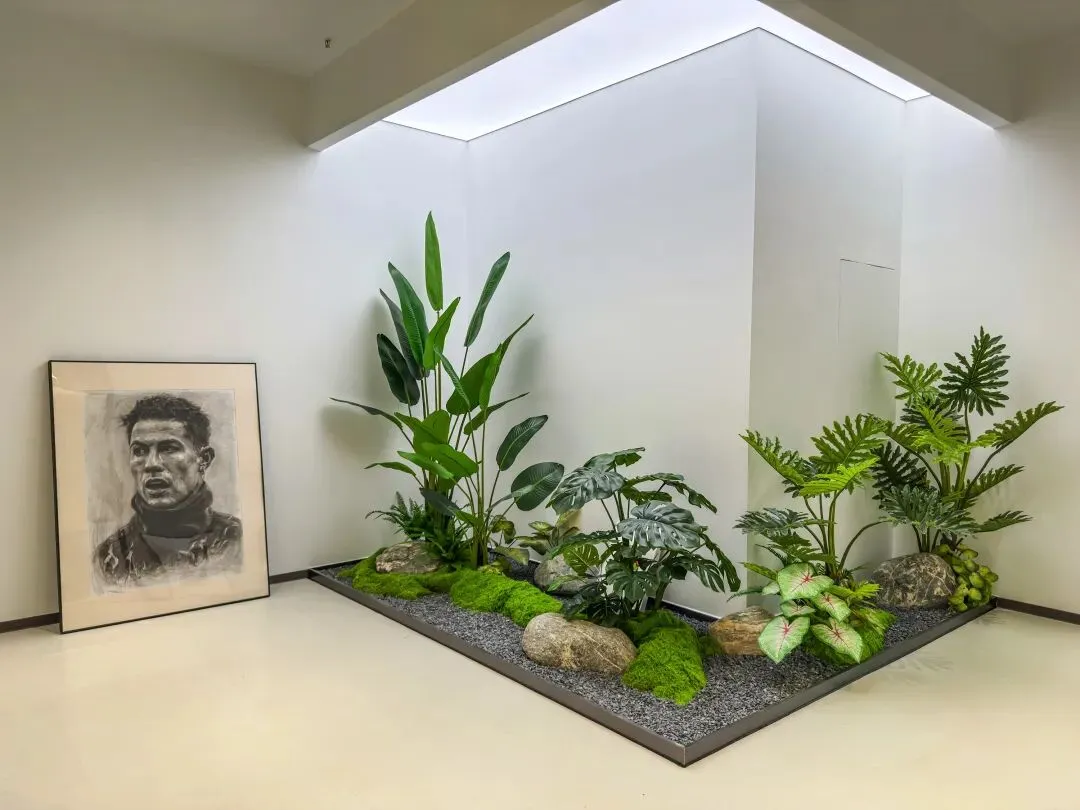 【美术中考首选】中考逆袭重点高中捷径,纵横美术100%过线,福州家长首选! 第62张