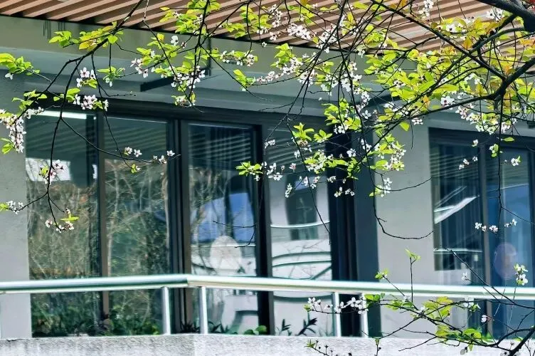 @初三学子,中考备考秘籍,调频石室·FM 第9张