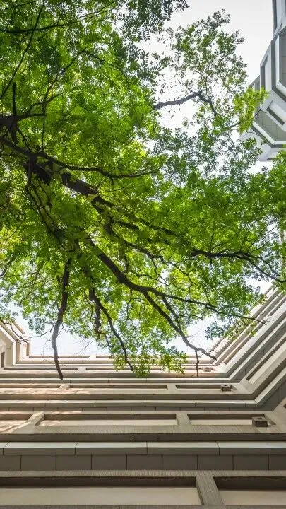 @初三学子,中考备考秘籍,调频石室·FM 第10张