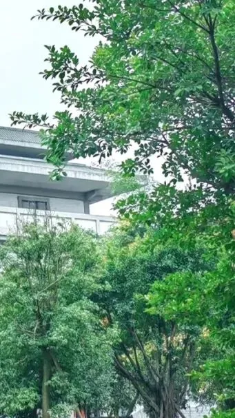 @初三学子,中考备考秘籍,调频石室·FM 第12张