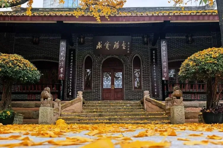 @初三学子,中考备考秘籍,调频石室·FM 第13张