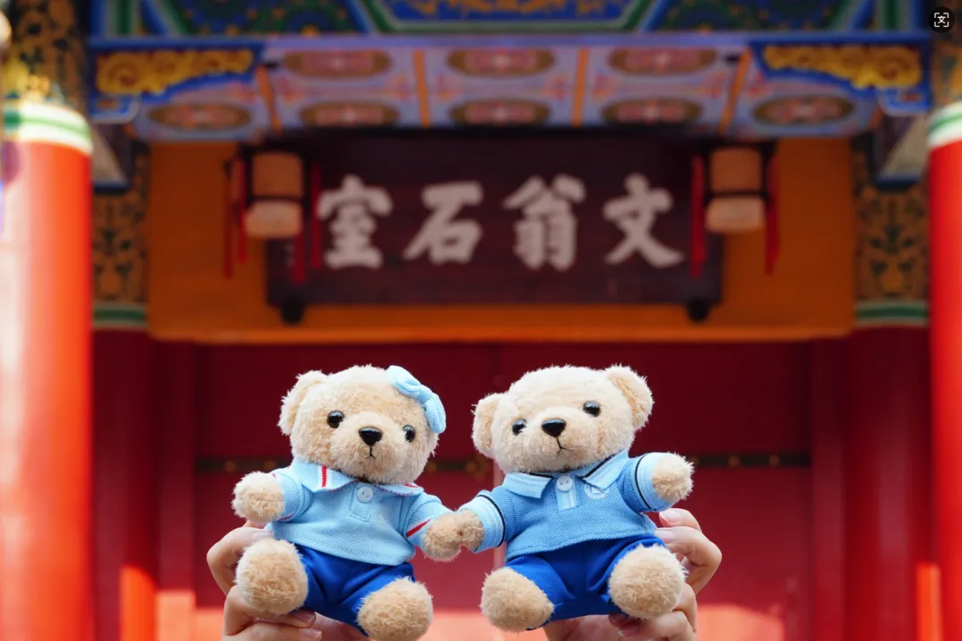 @初三学子,中考备考秘籍,调频石室·FM 第17张