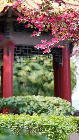 @初三学子,中考备考秘籍,调频石室·FM 第19张