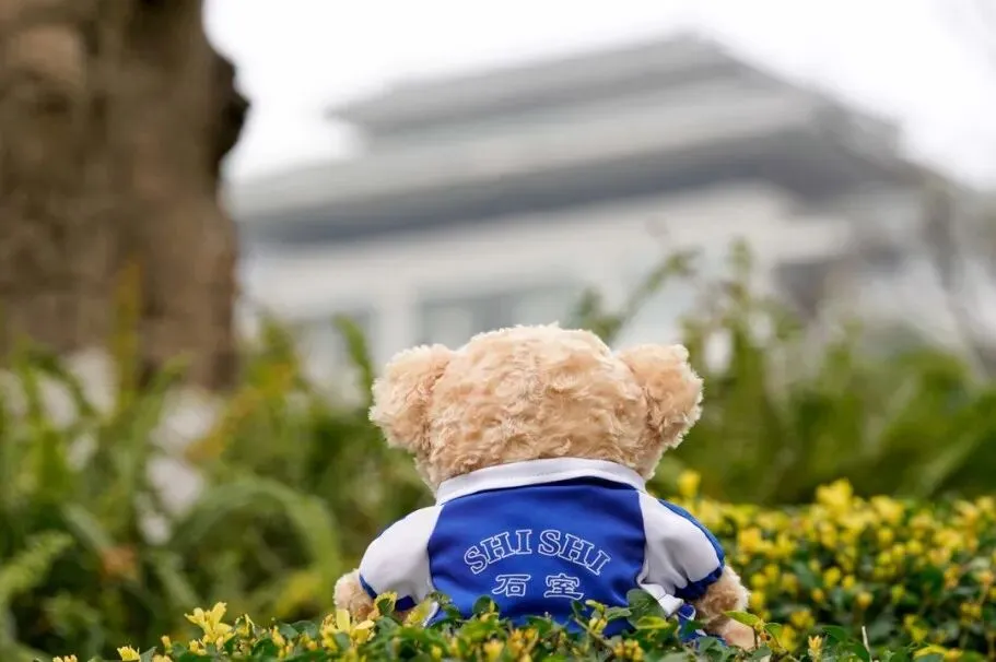 @初三学子,中考备考秘籍,调频石室·FM 第21张