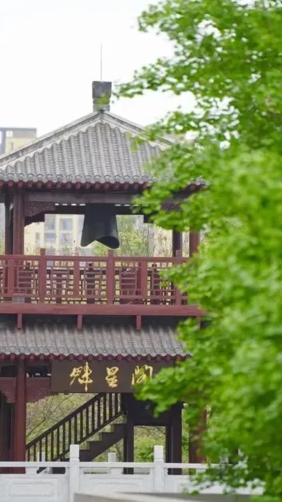 @初三学子,中考备考秘籍,调频石室·FM 第24张