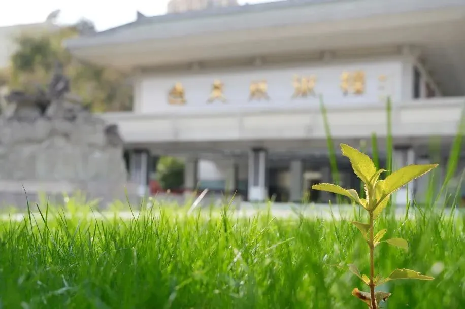 @初三学子,中考备考秘籍,调频石室·FM 第25张