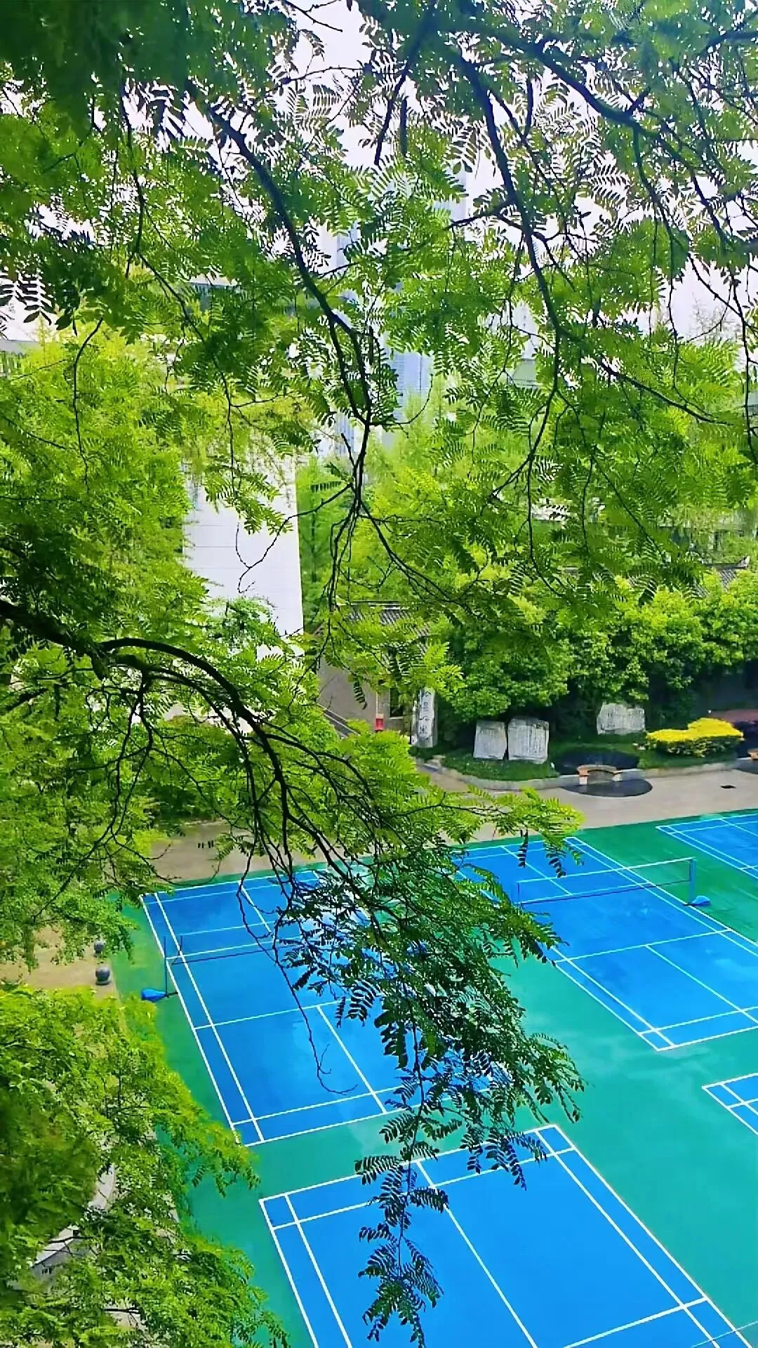 @初三学子,中考备考秘籍,调频石室·FM 第26张