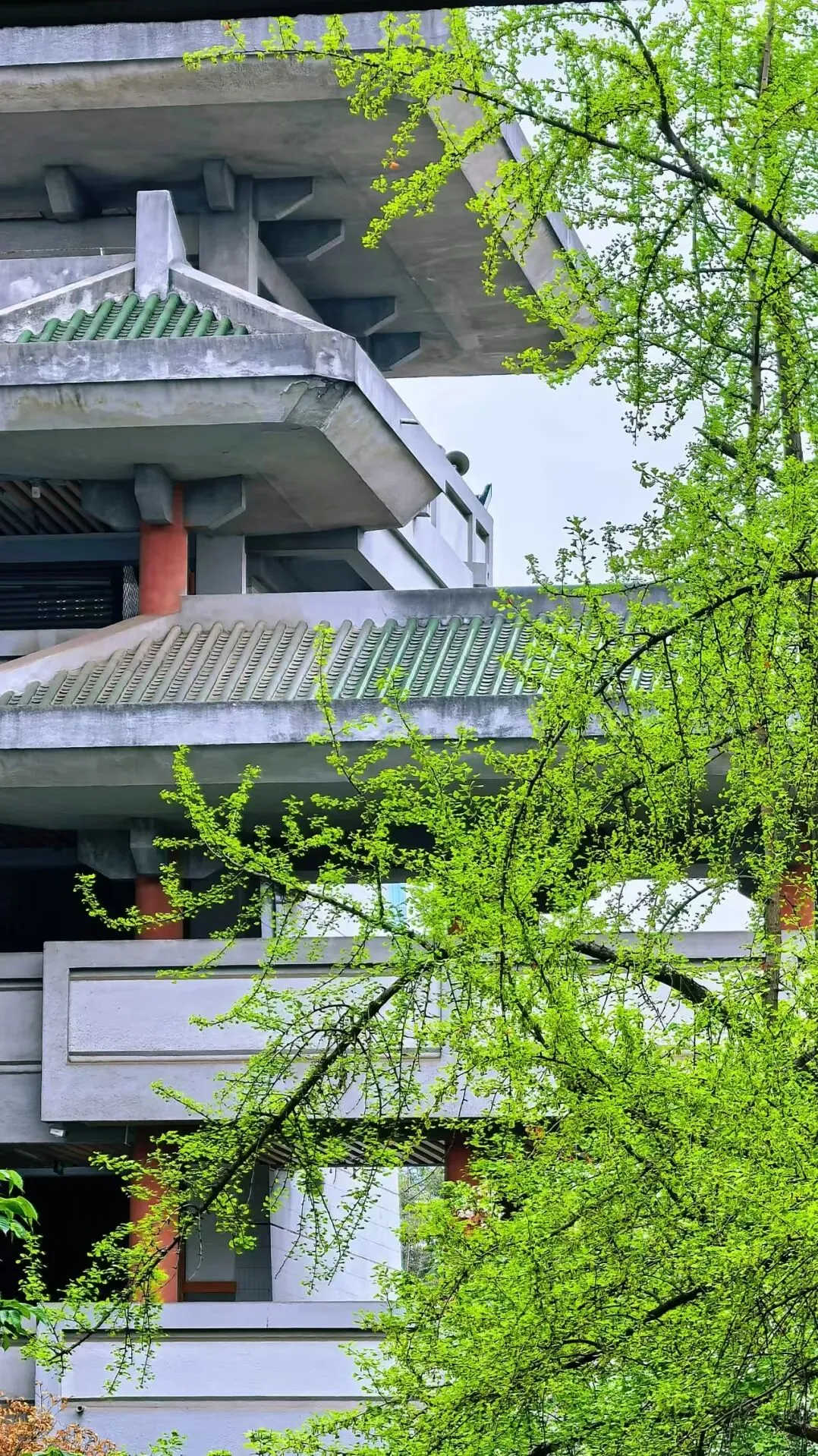 @初三学子,中考备考秘籍,调频石室·FM 第28张