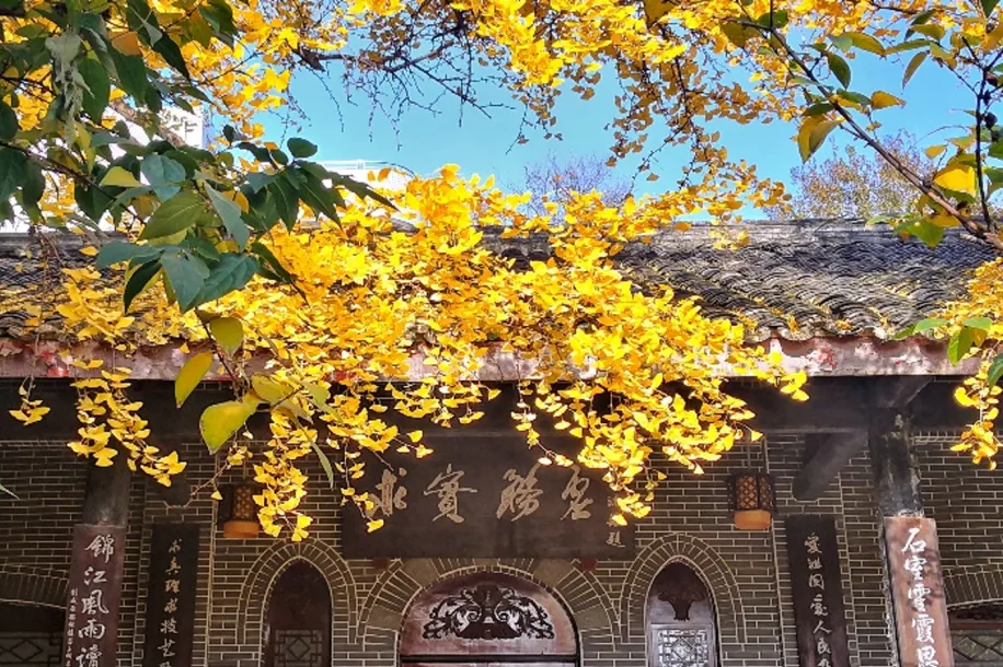 @初三学子,中考备考秘籍,调频石室·FM 第29张