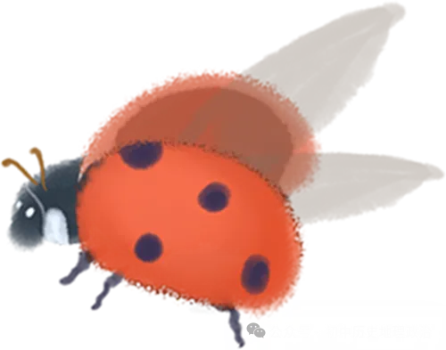 中考必考86条历史之最,多背一条少扣一分! 第2张