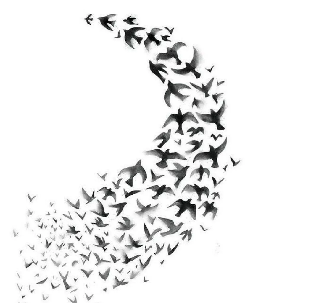 【真题解析】广东省26年普通专升本考试丨设计基础真题解析 第9张 【真题解析】广东省26年普通专升本考试丨设计基础真题解析 第9张