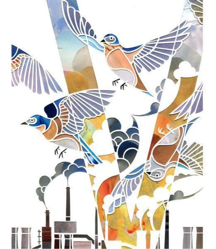 【真题解析】广东省26年普通专升本考试丨设计基础真题解析 第10张 【真题解析】广东省26年普通专升本考试丨设计基础真题解析 第10张