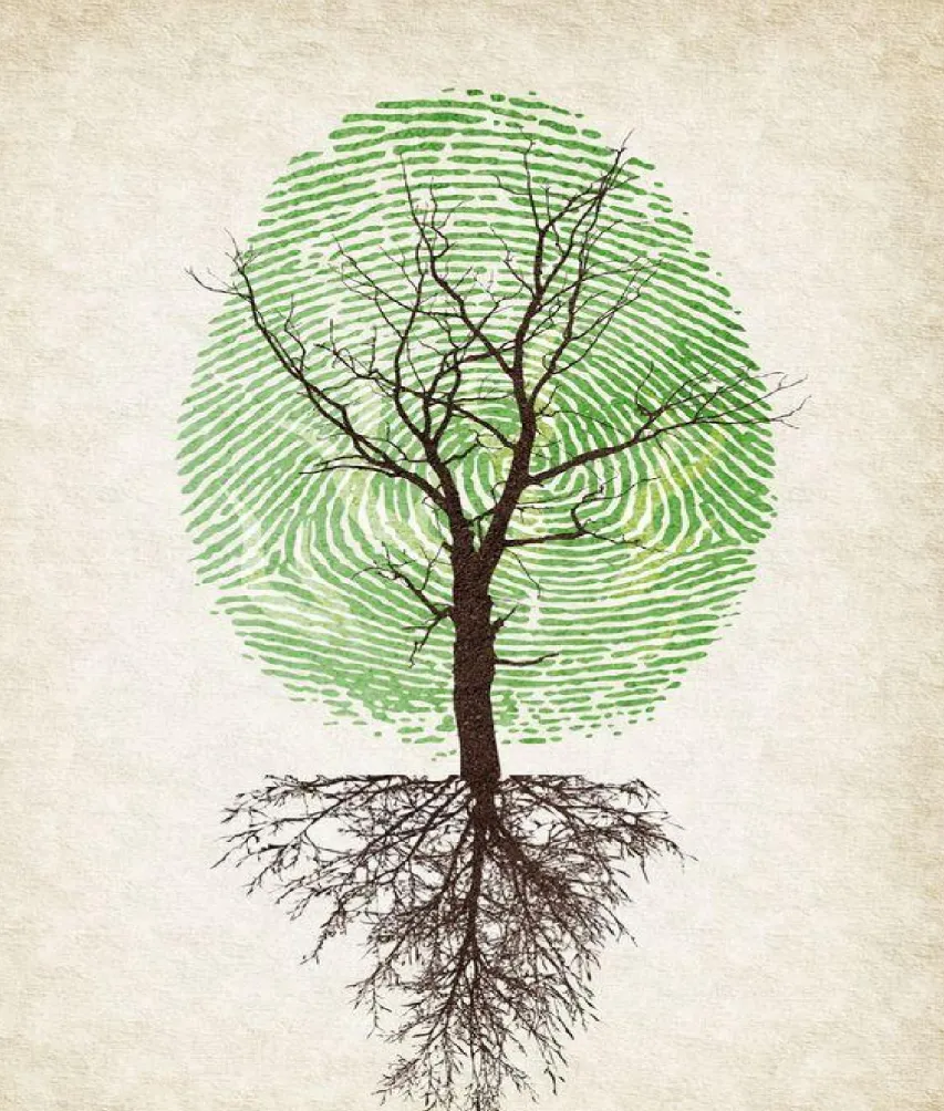 【真题解析】广东省26年普通专升本考试丨设计基础真题解析 第14张 【真题解析】广东省26年普通专升本考试丨设计基础真题解析 第14张