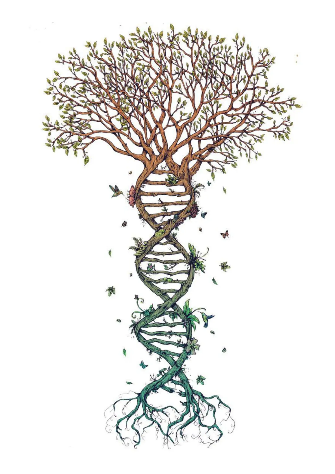 【真题解析】广东省26年普通专升本考试丨设计基础真题解析 第15张 【真题解析】广东省26年普通专升本考试丨设计基础真题解析 第15张