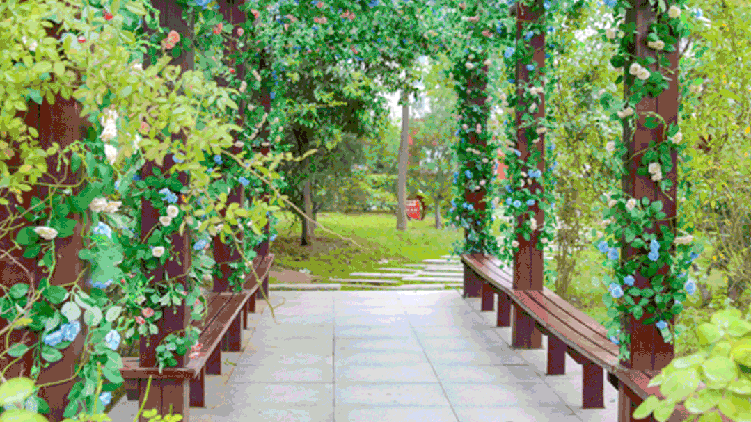 @初三同学家长:模考后别光盯着分数,现在做对这件事,比中考后着急强100倍! 第11张