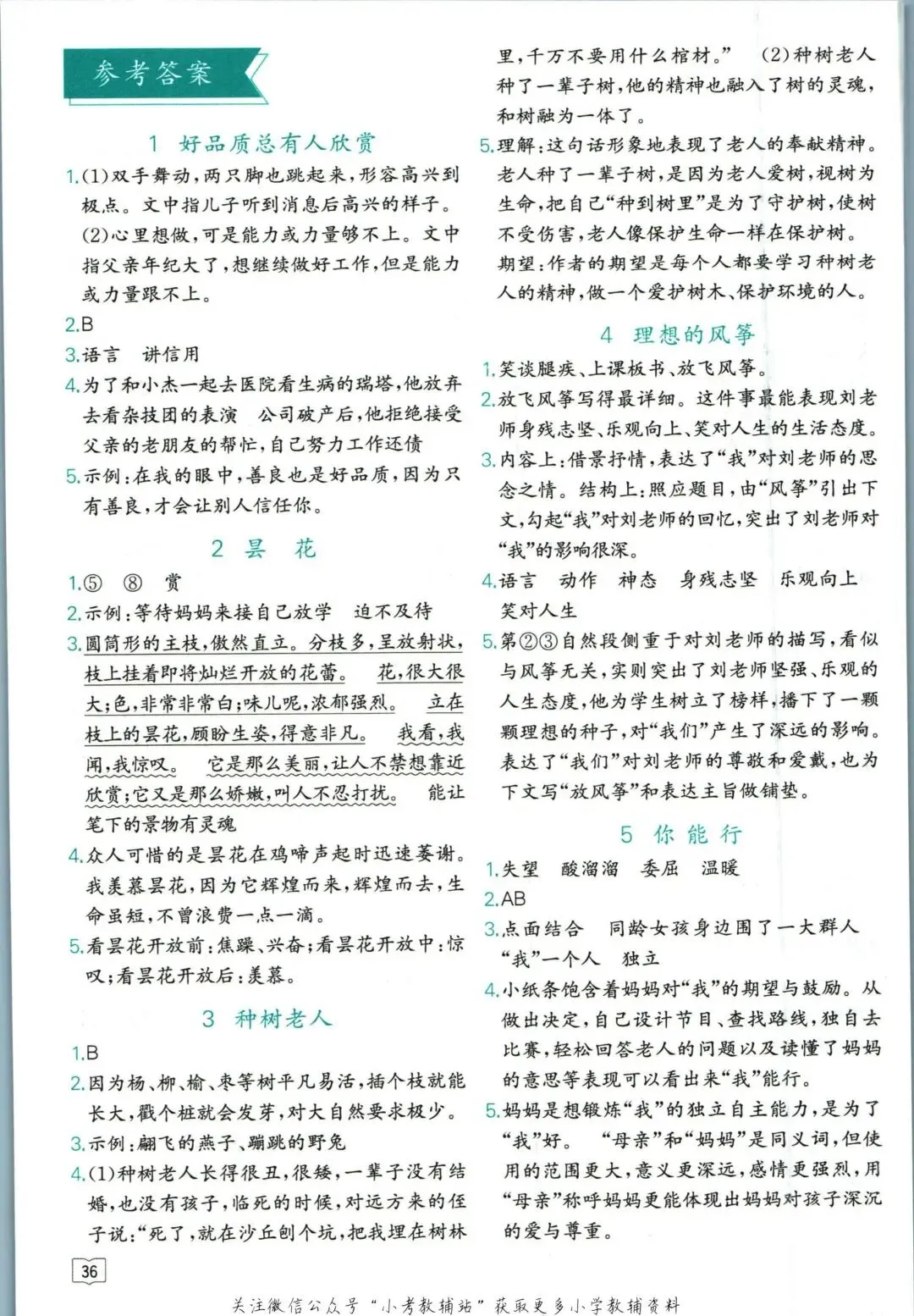 《星火阅读真题精编20篇》人教版语文6年级丨pdf电子版,可下载打印 第13张