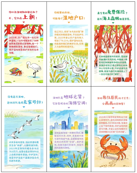 2026届广西钦州九年级中考一模 语文试题及答案 第3张