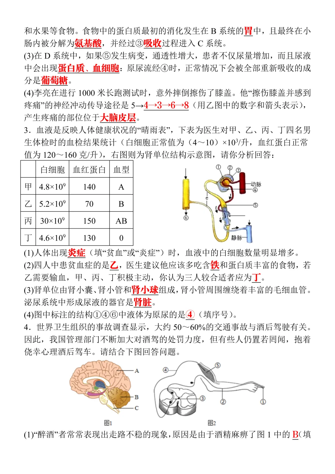 2026八年级生物会考真题演练20道(含答案),命中率高,可打印练习! 第4张