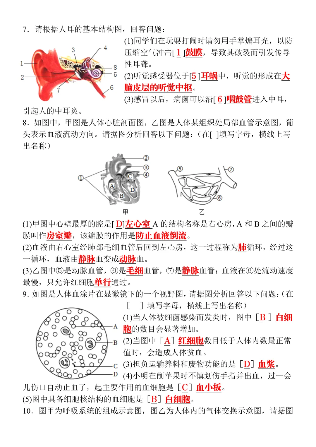 2026八年级生物会考真题演练20道(含答案),命中率高,可打印练习! 第6张