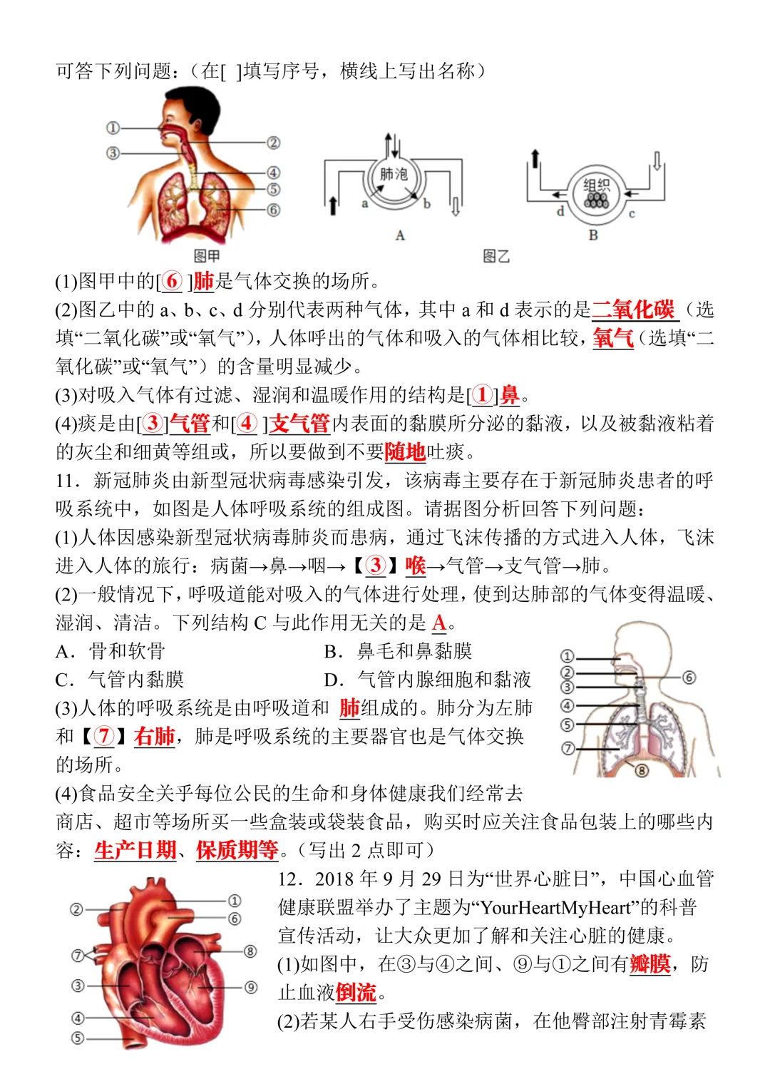 2026八年级生物会考真题演练20道(含答案),命中率高,可打印练习! 第7张