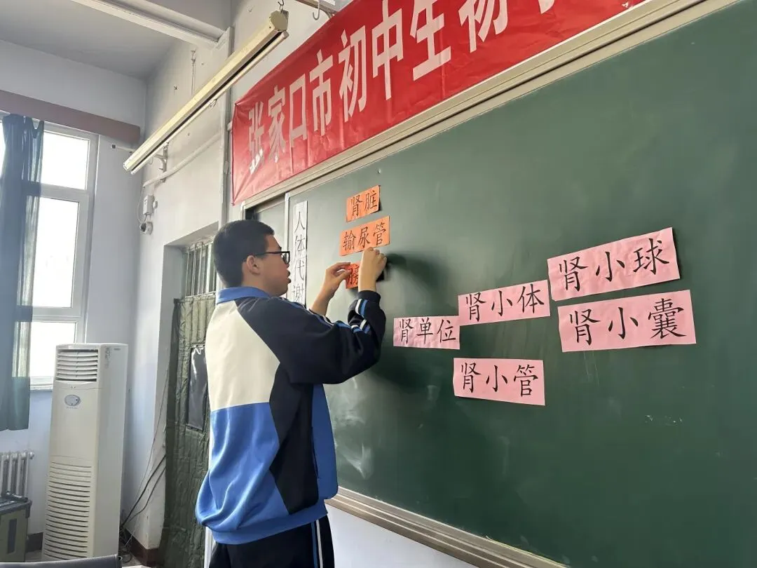 精研复习策略 聚力备战中考——张家口市生物中考复习课及备考研讨会在沙城第二中学圆满举行 第30张