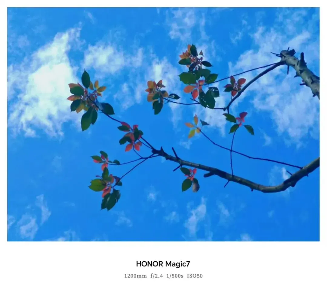 金华十校2026年4月高三模拟考试语文试题卷、参考答案及作文评分细则 第5张