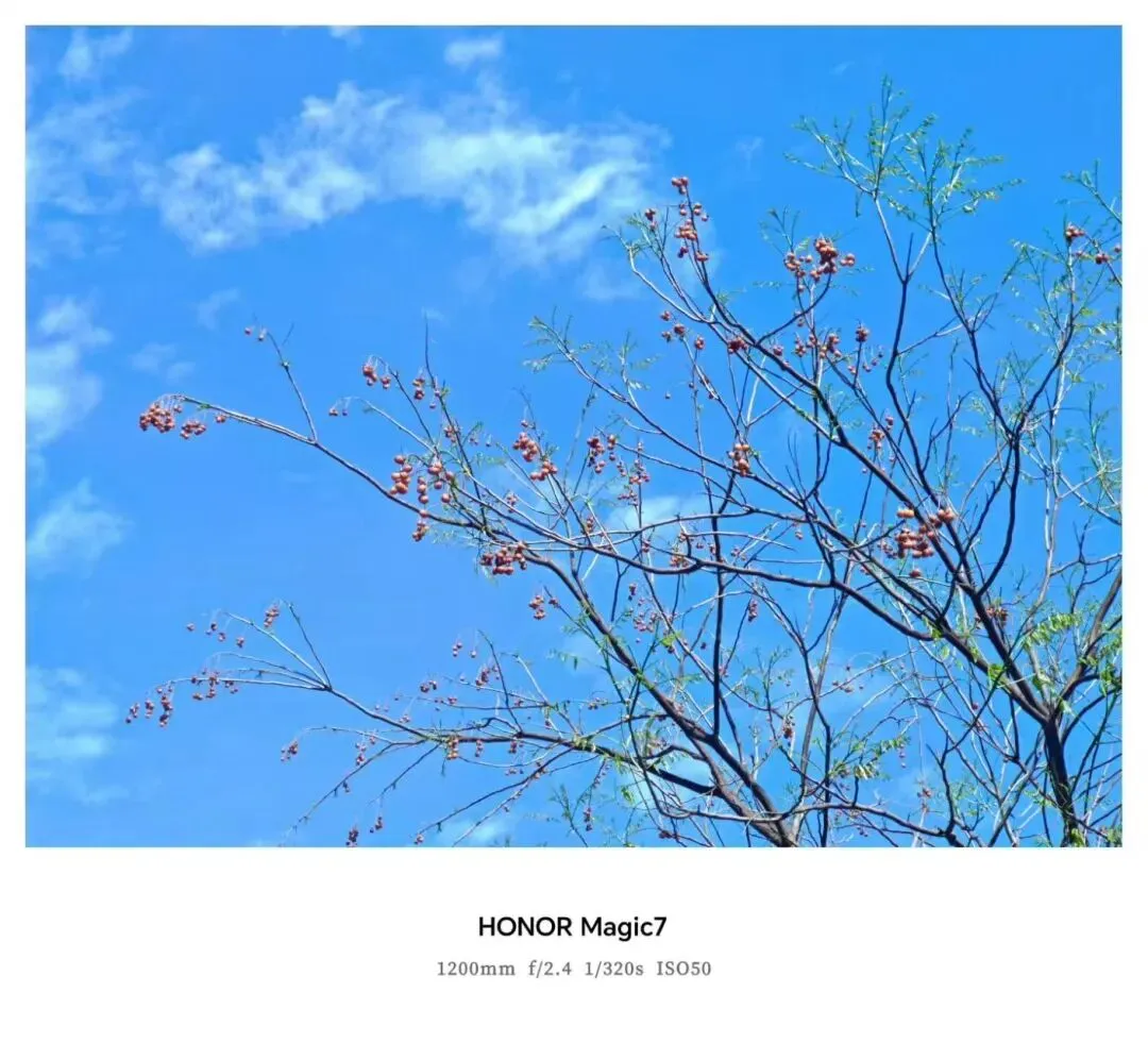 金华十校2026年4月高三模拟考试语文试题卷、参考答案及作文评分细则 第7张