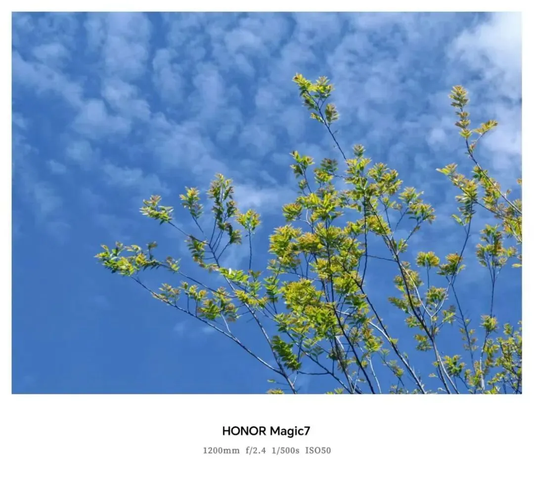 金华十校2026年4月高三模拟考试语文试题卷、参考答案及作文评分细则 第8张