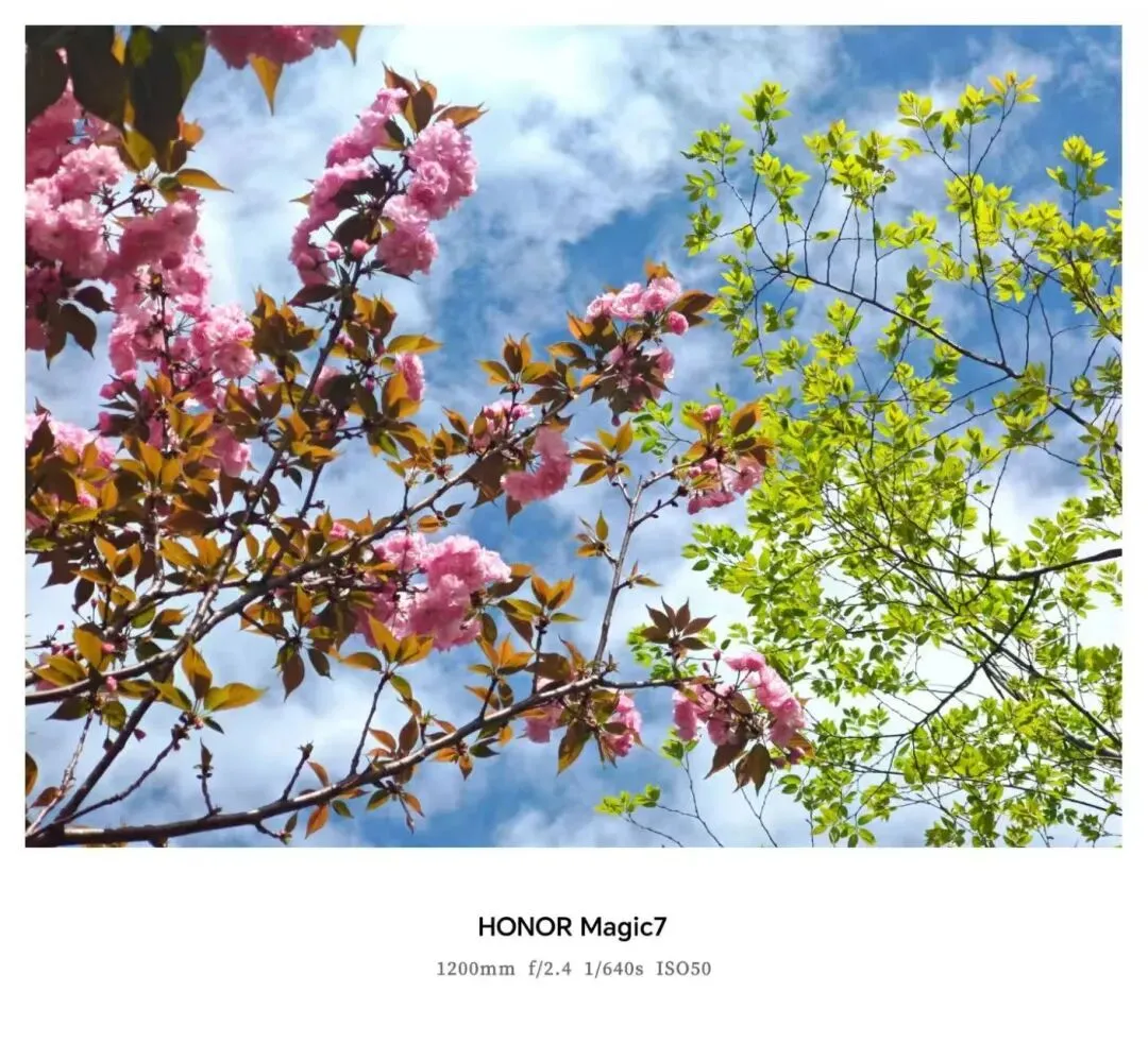 金华十校2026年4月高三模拟考试语文试题卷、参考答案及作文评分细则 第9张